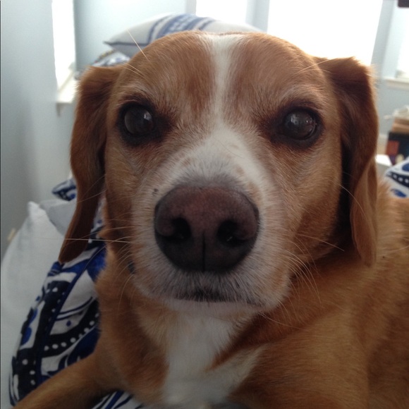 Meet your Posher, Gabriela - Picture 1 of 1